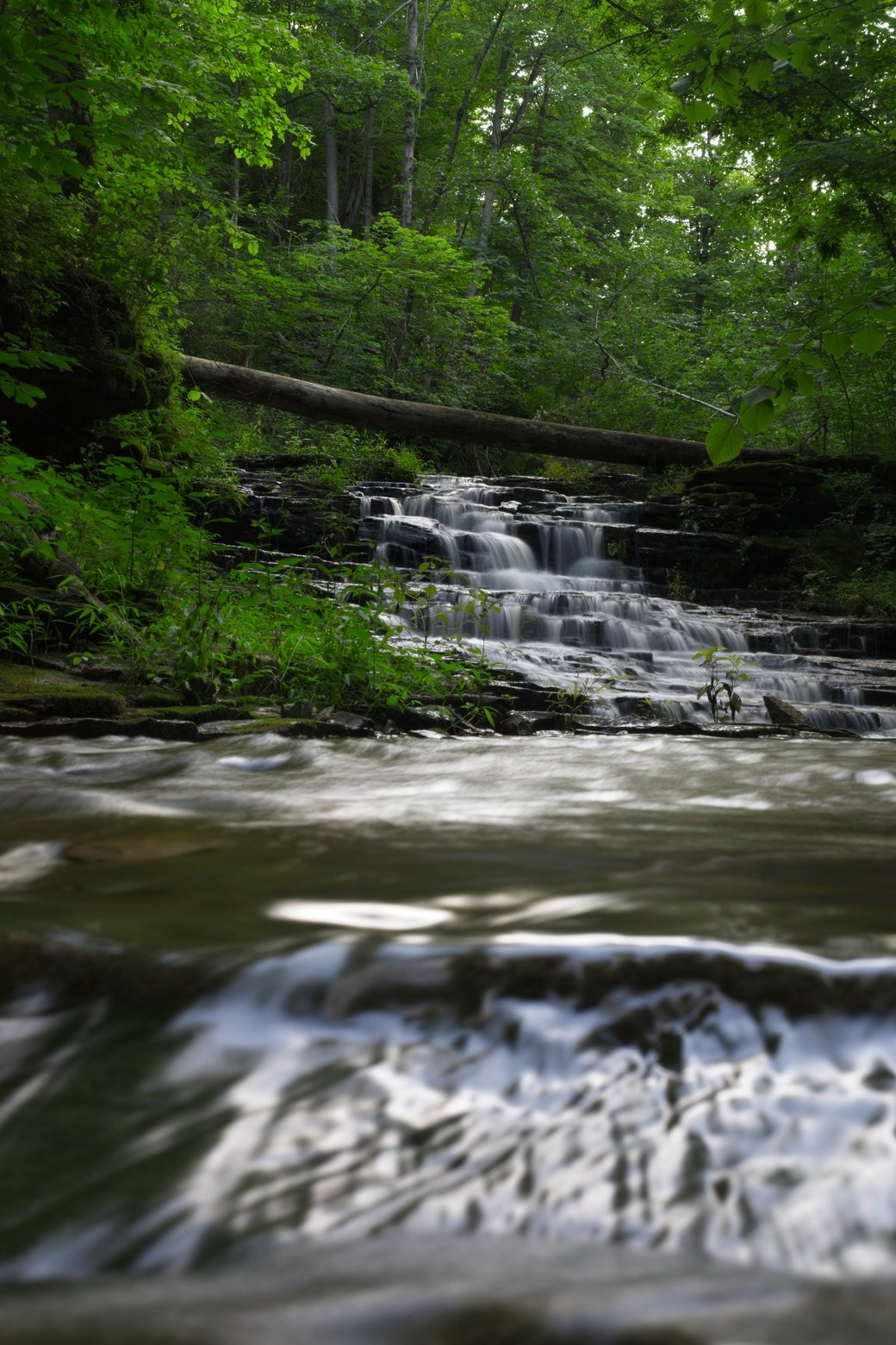 A serene natural scene featuring a cascading stream and waterfall within a lush forest. The water in the foreground is captured with a smooth, motion-blurred effect, contrasting with the distinct flow of the water over dark rocks in the midground. The scene is framed by dense, vibrant green foliage and a horizontal log spanning the upper portion, suggesting a quiet, woodland environment.