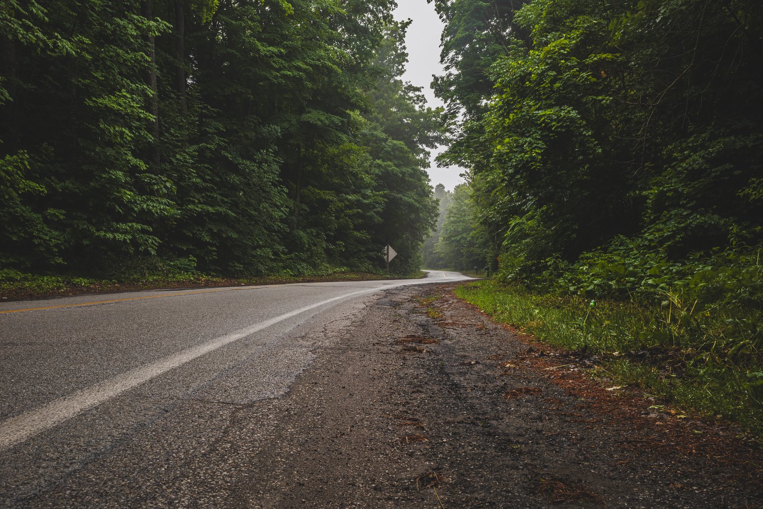 A photograph of a paved, two-lane road winding through a densely forested area. The scene is characterized by lush, deep green foliage on both sides, creating a secluded, almost tunnel-like effect. The overcast lighting lends a moody, atmospheric quality to the image, suggesting a journey through nature.