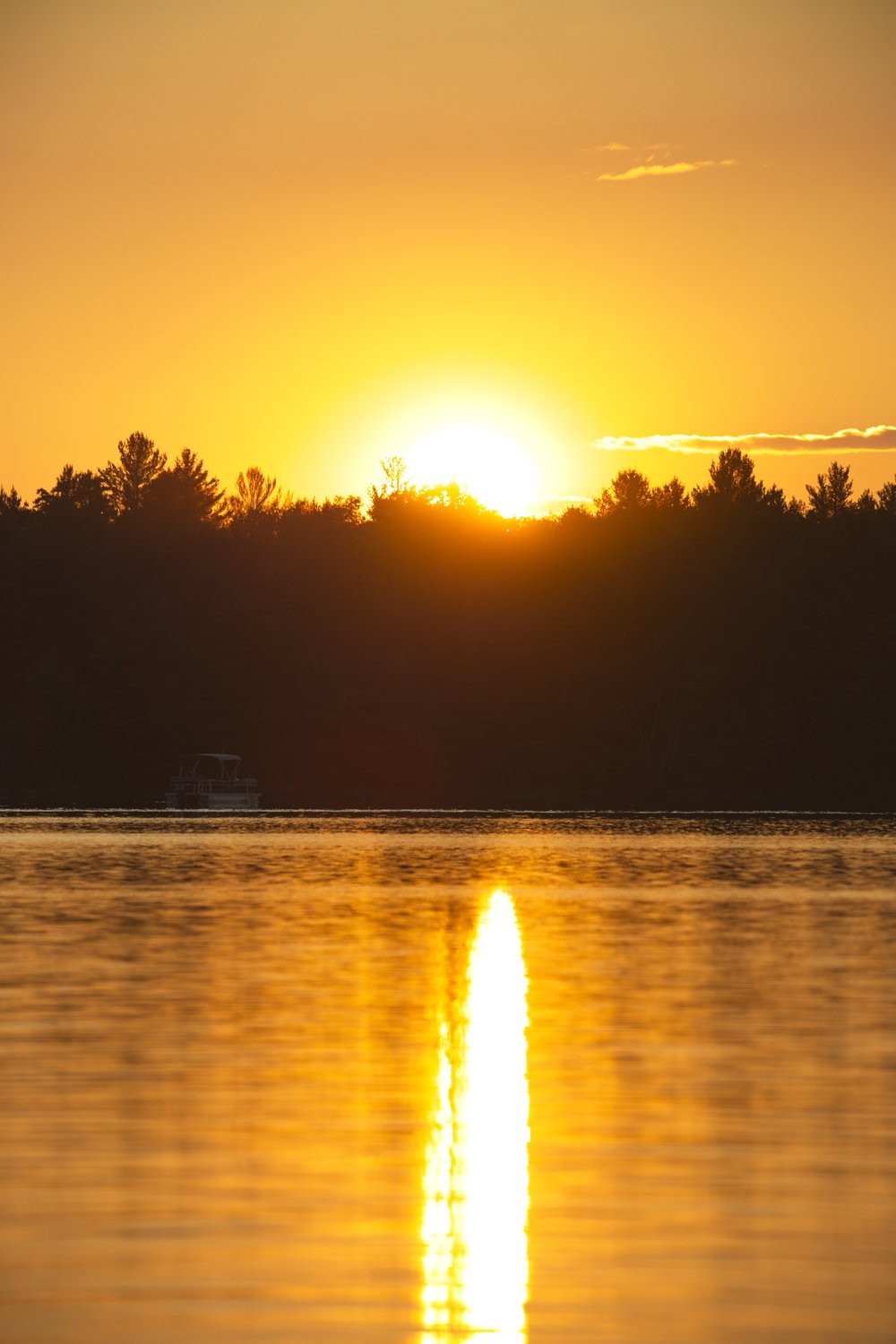 A tranquil scene captured at sunrise or sunset, showing a vivid golden glow dominating the sky and water. The intense light creates a brilliant reflection path across the calm surface, set against a dark, silhouetted treeline on the horizon.