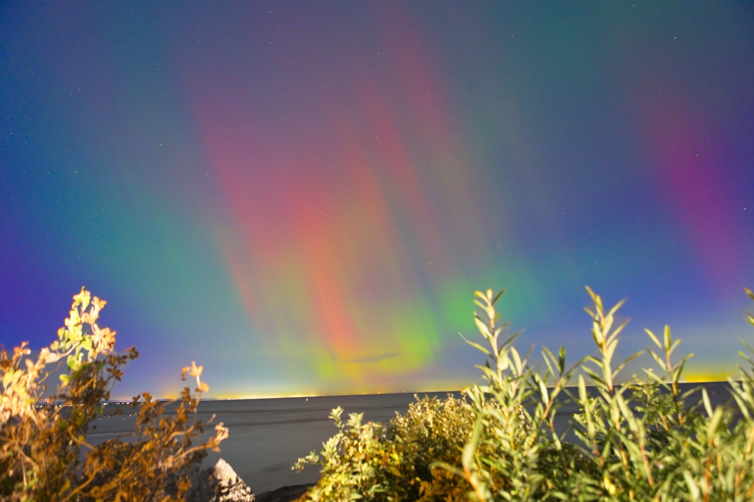 A vibrant night photograph capturing the Aurora Borealis (Northern Lights) displaying streaks of green, red, and purple across a deep blue sky. The celestial display is viewed above a calm body of water and framed by lush, autumnal foliage in the foreground.