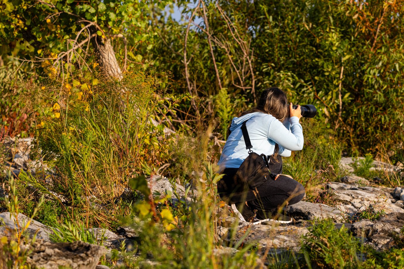 A photographer is kneeling on rocks in a lush, overgrown outdoor environment, focused on capturing images of nature amongst dense foliage and tall grasses.
